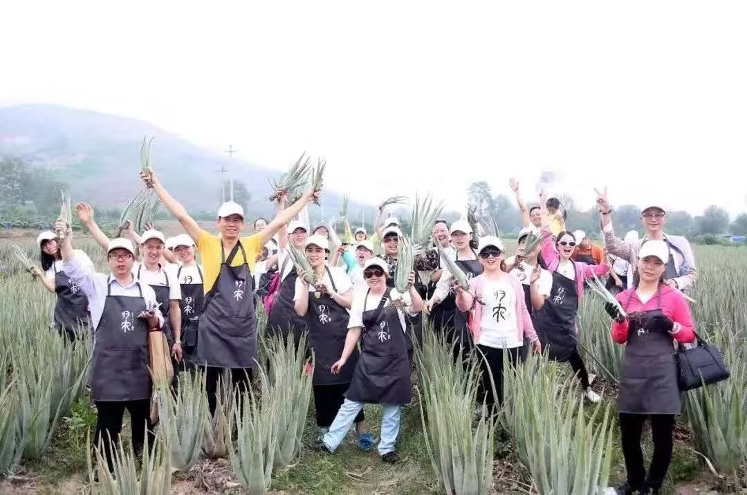 350万粉丝追随，企业被称为“云集第二”，这个男人不一般