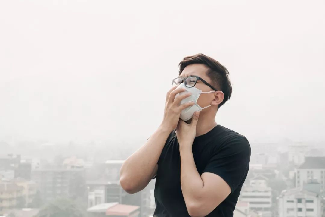 3m口罩为啥价格差别这么大,3m口罩9501和n95口罩的区别在哪里