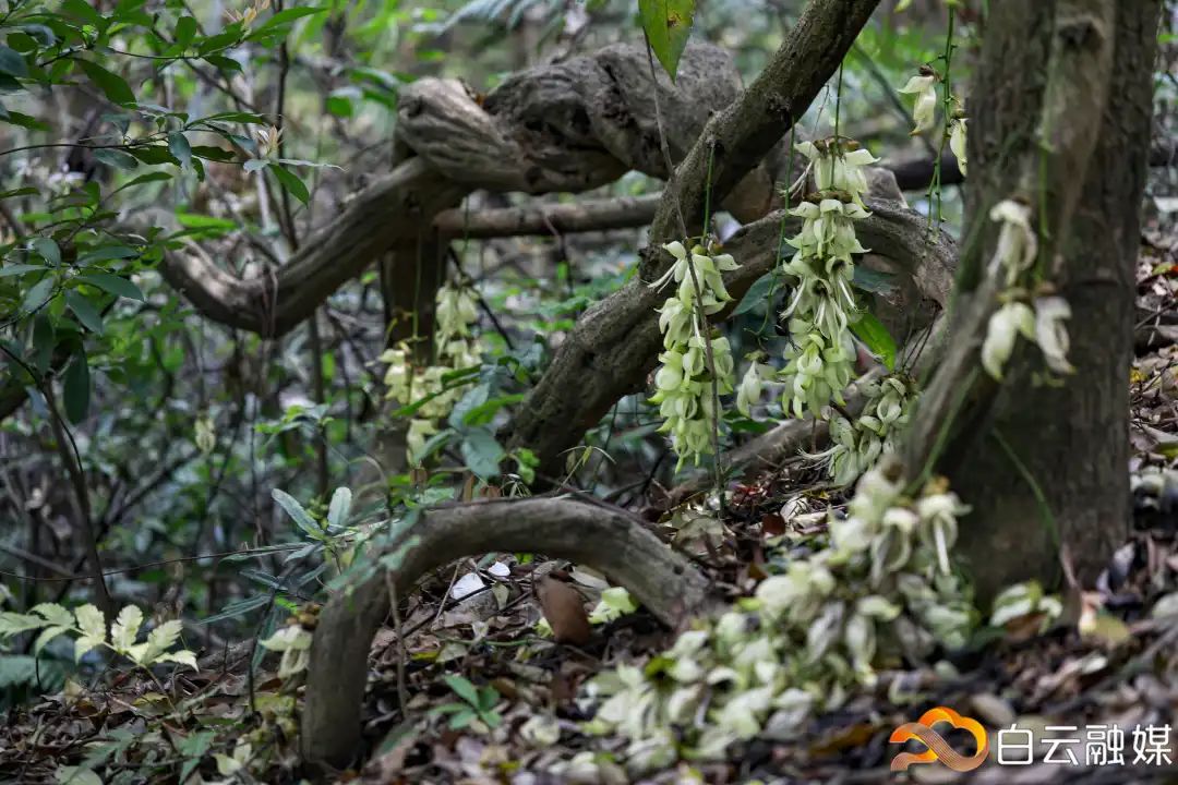 走一起去看美丽的风景,走一起去看美好的风景