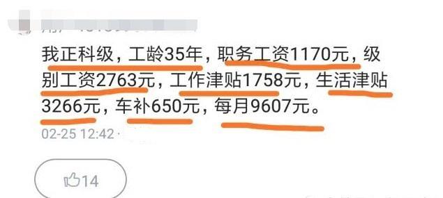 公务员的工资水平是怎样的,公务员工资水平高不