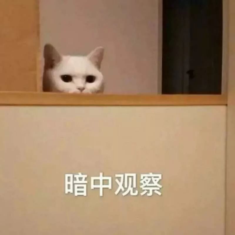 赵薇直播红酒行业,赵薇抖音直播卖红酒