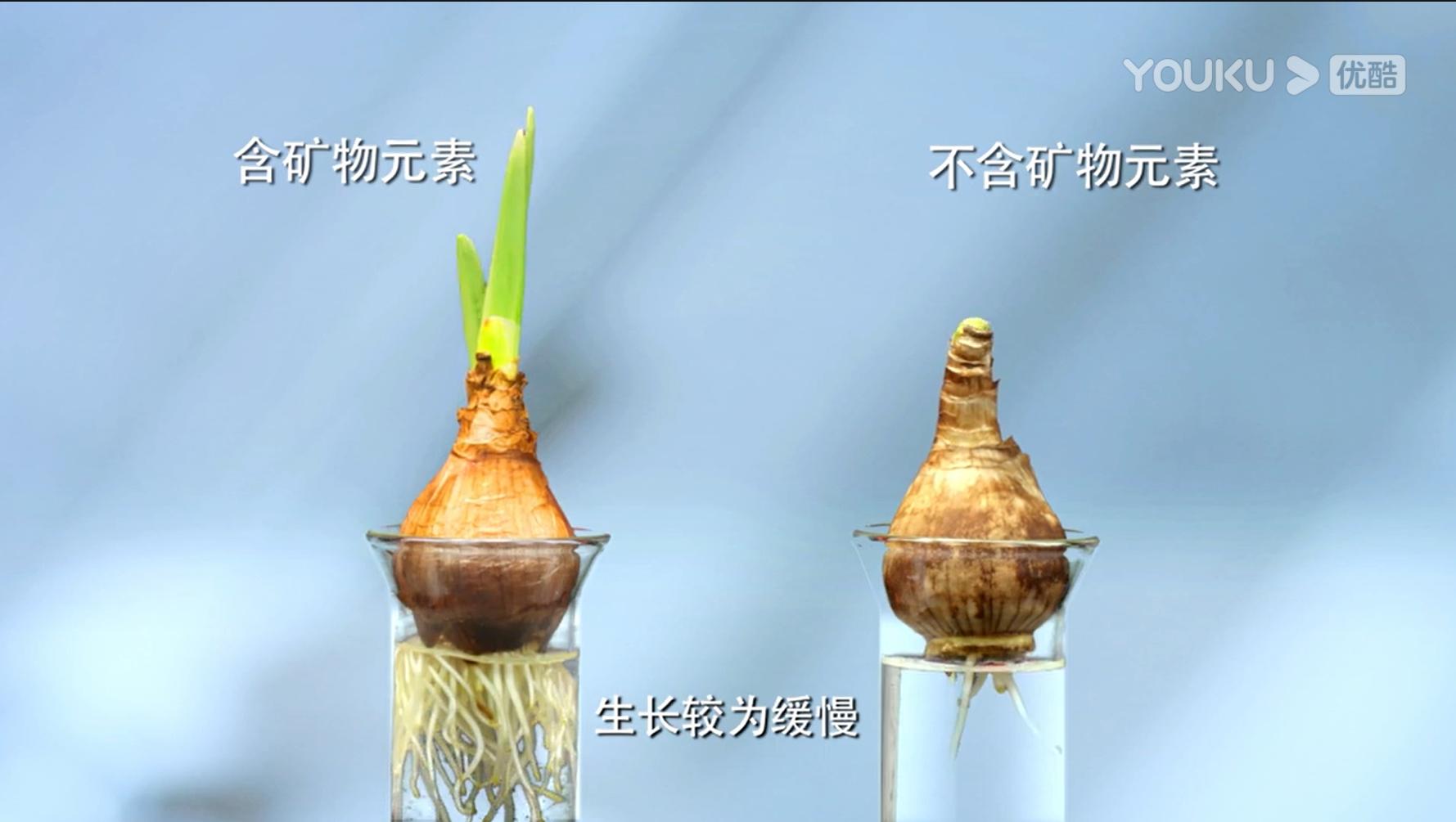 广告创意完全手册,广告经典创作思路