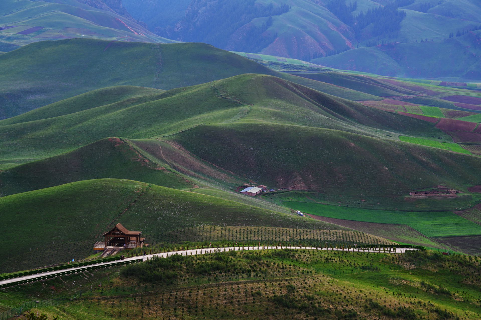 尼康z7最新人像片欣赏图,尼康z7摄影讲解