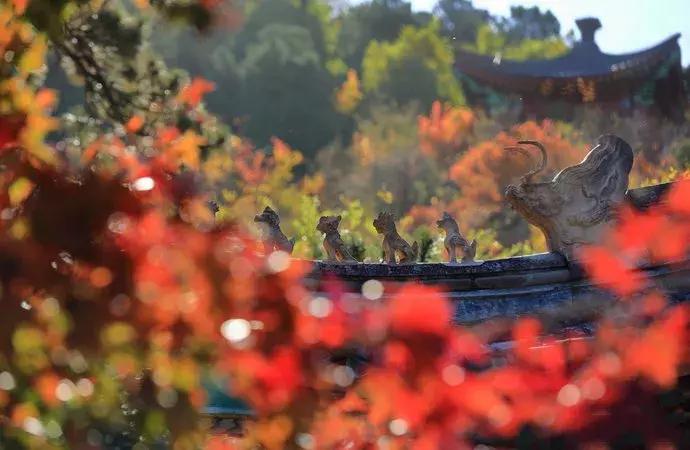 中国100条旅游线,全国15条最佳自驾游线路