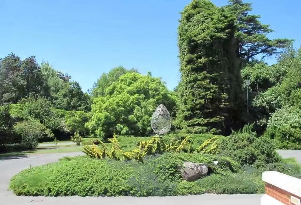 从新西兰的甜椒论个卖看我国农民如何挣钱：高品质高价格