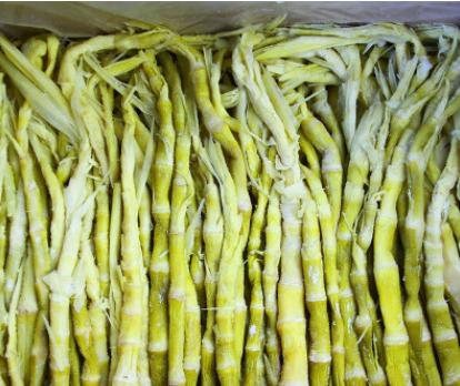 熊猫竹笋吃法,熊猫笋子吃完吃什么