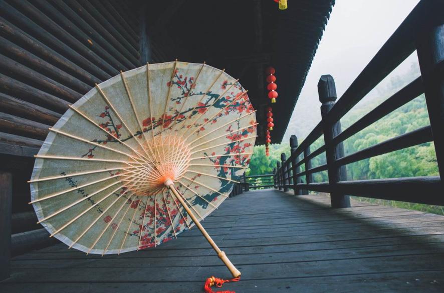 苏童短篇推荐,苏童短篇小说免费阅读