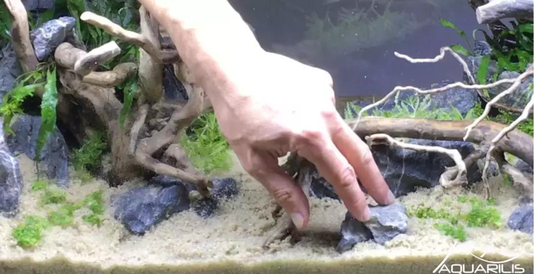 草缸造景教程：这个缸居然能装下一头“犀牛”？