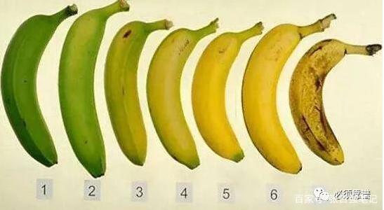 乙烯利起什么作用,乙烯利在蔬菜上可以用吗