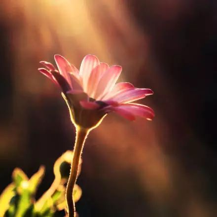 源自古诗的经典成语,诗词优美的成语