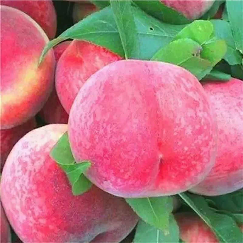 无接触配送安心宅家吃美食,无接触食品