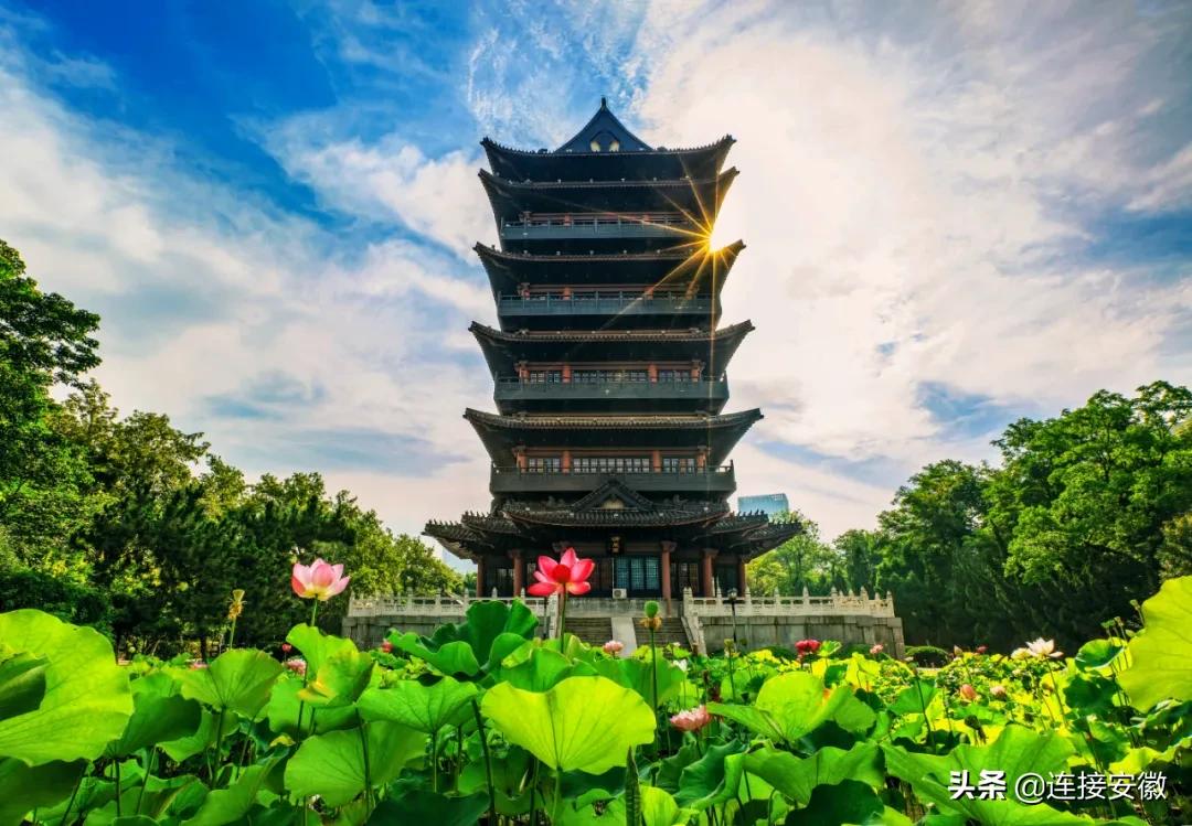 安徽合肥免费旅游攻略,合肥春节免费游怎么预约