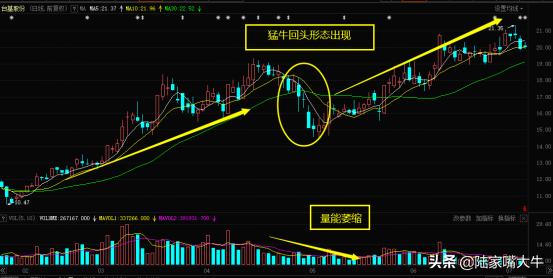 牛股起涨前绝佳买入指标,超级强势股票回调买入技巧