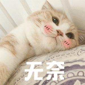 有些重疾险，打着定制的旗号，摘下面具就慌了