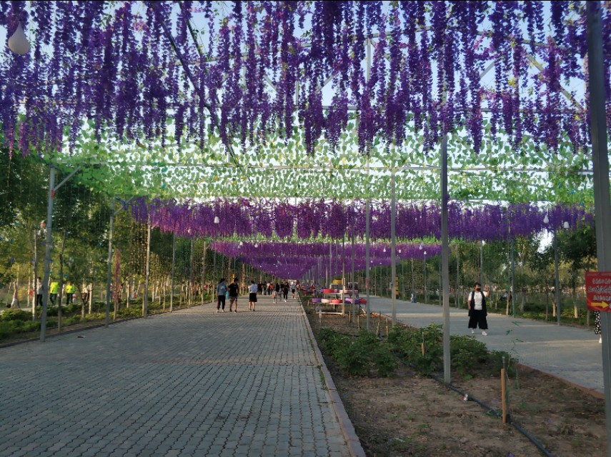 乌鲁木齐人民怎么过的“五一”？时间表来了，他们每天是这样过！