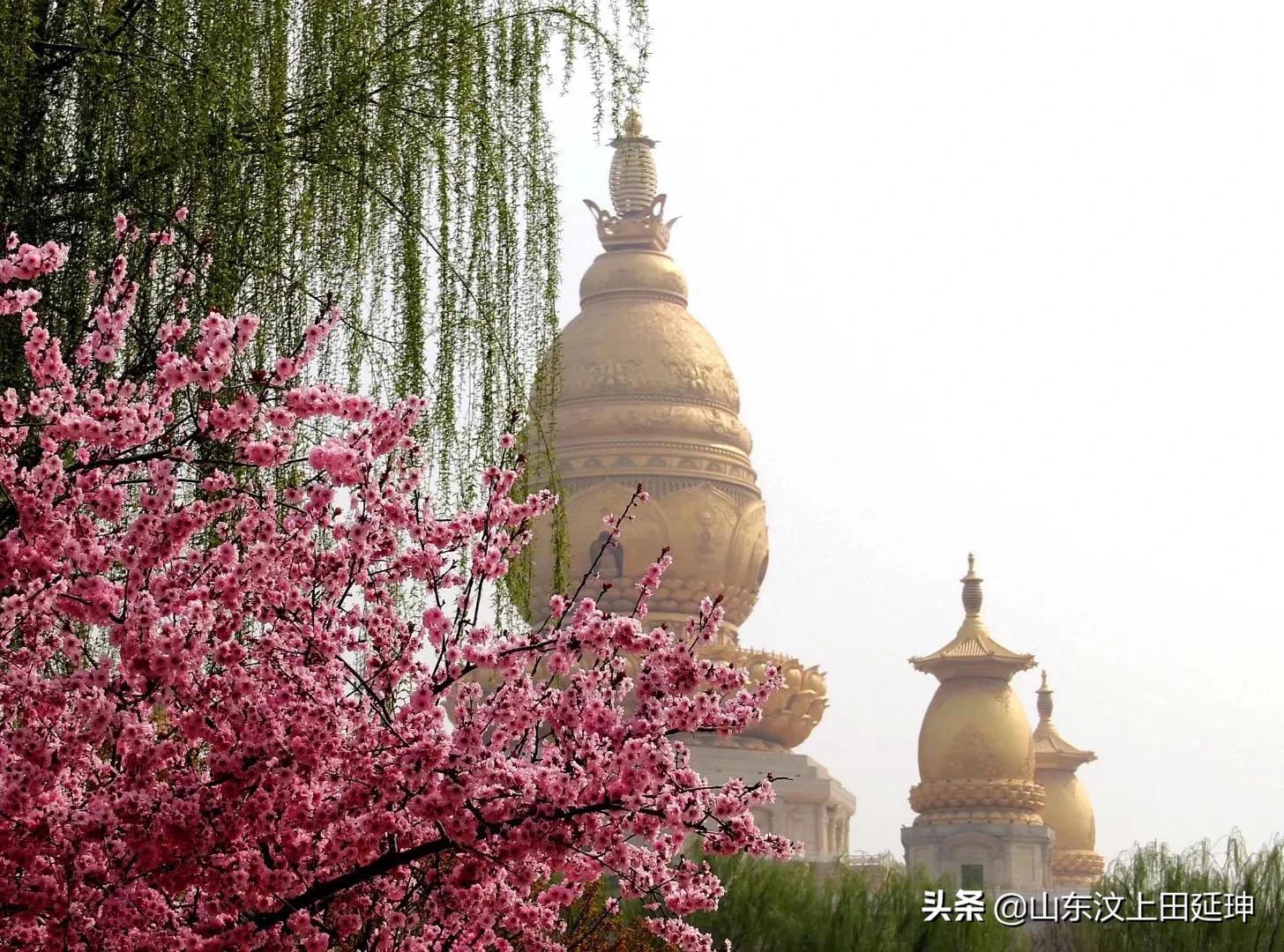 纺织服装产业纪实,纺织服装产业属于制造业吗