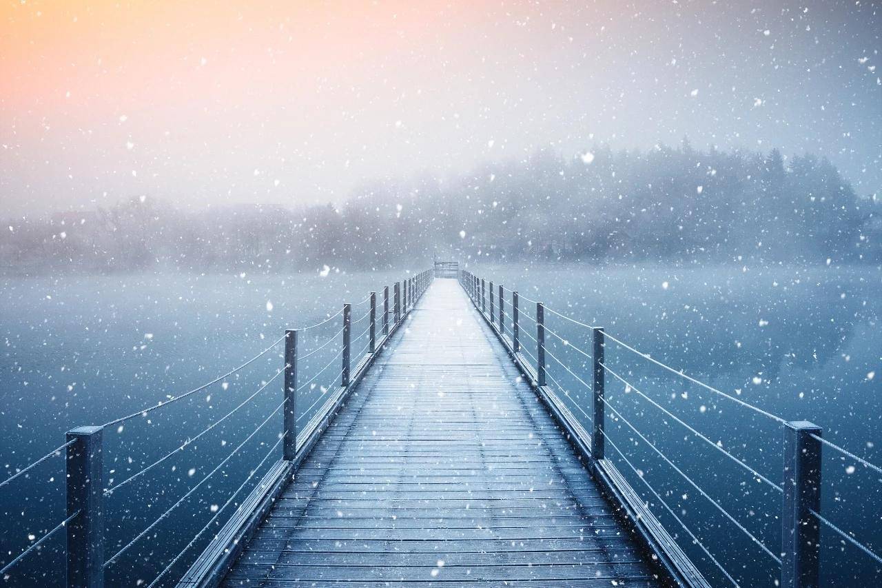 《藤野先生》《从百草园到三味书屋》:比较老师形象的异同