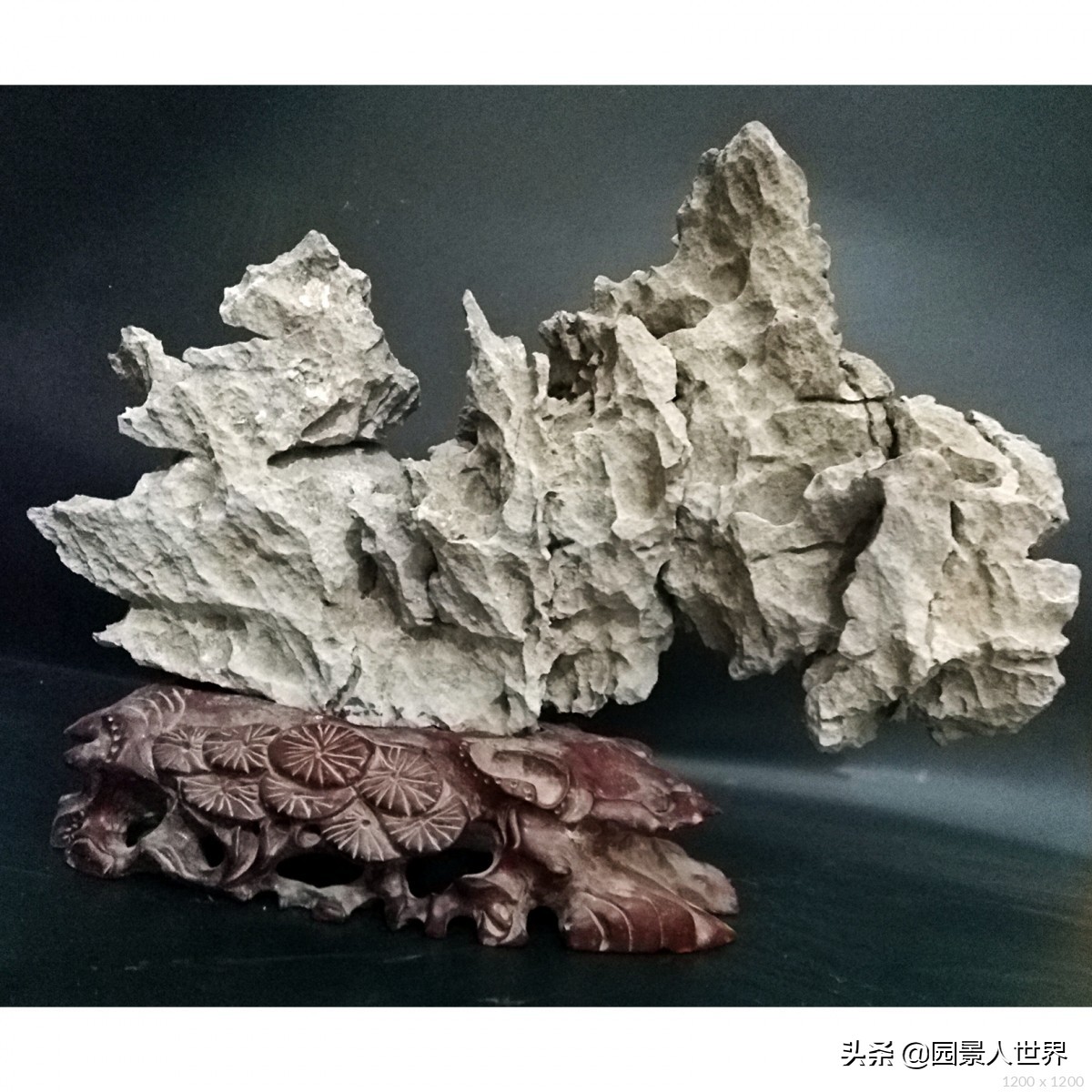 江南园林三大名石,中国清代以来公认的四大园林名石