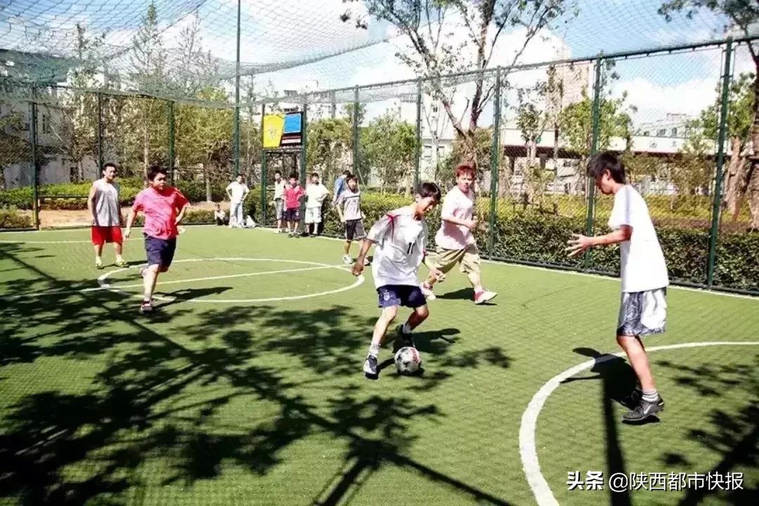 西安体育中心场馆,西安免费开放的体育馆