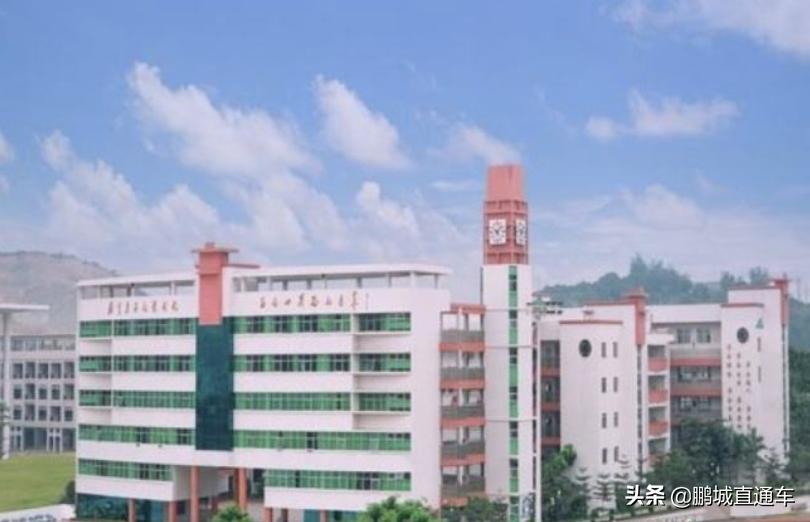深圳新建的公办学校有哪些优缺点,深圳11所扩建学校名单