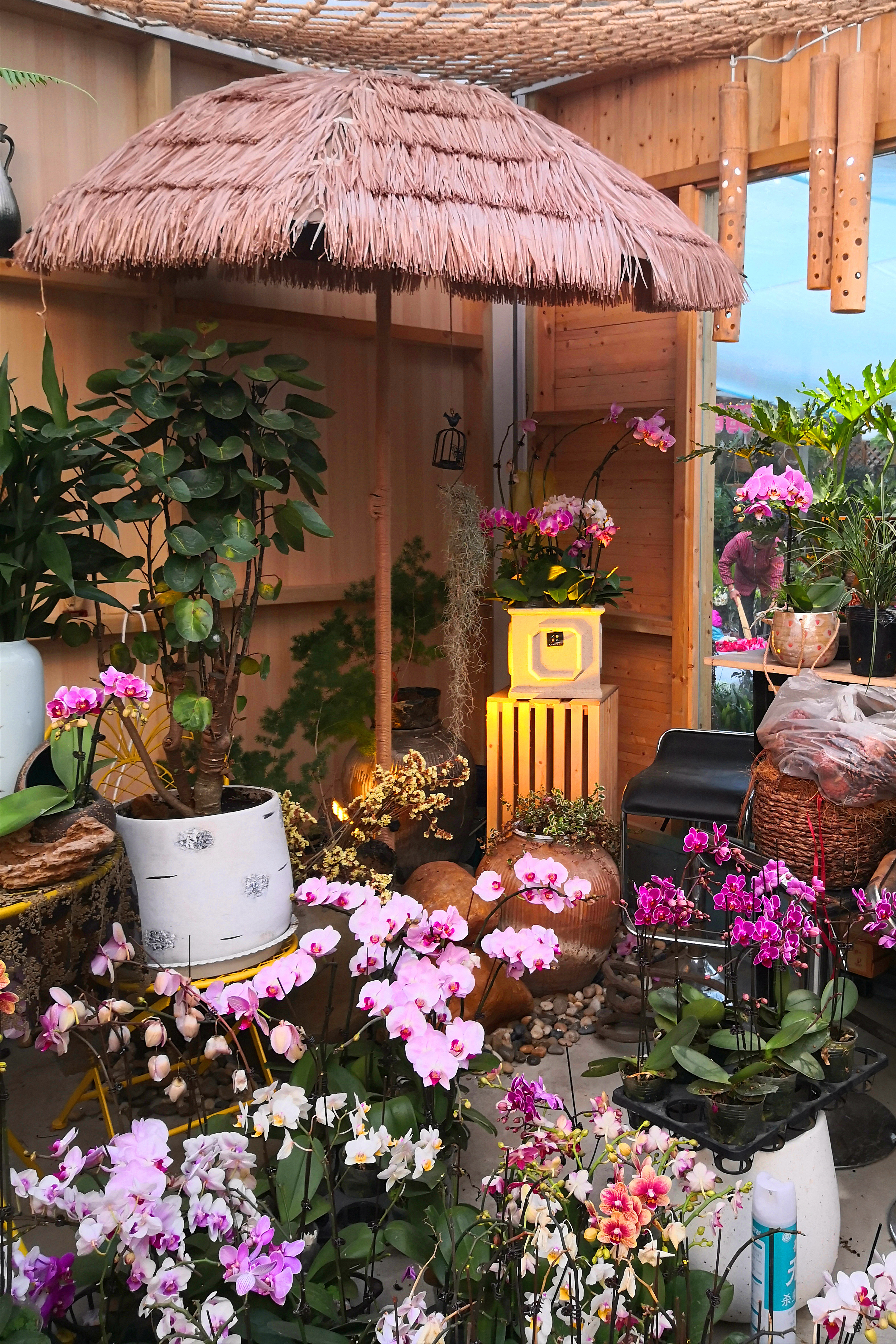 东营最大的花卉批发市场在哪里,东营地区哪里有花卉市场