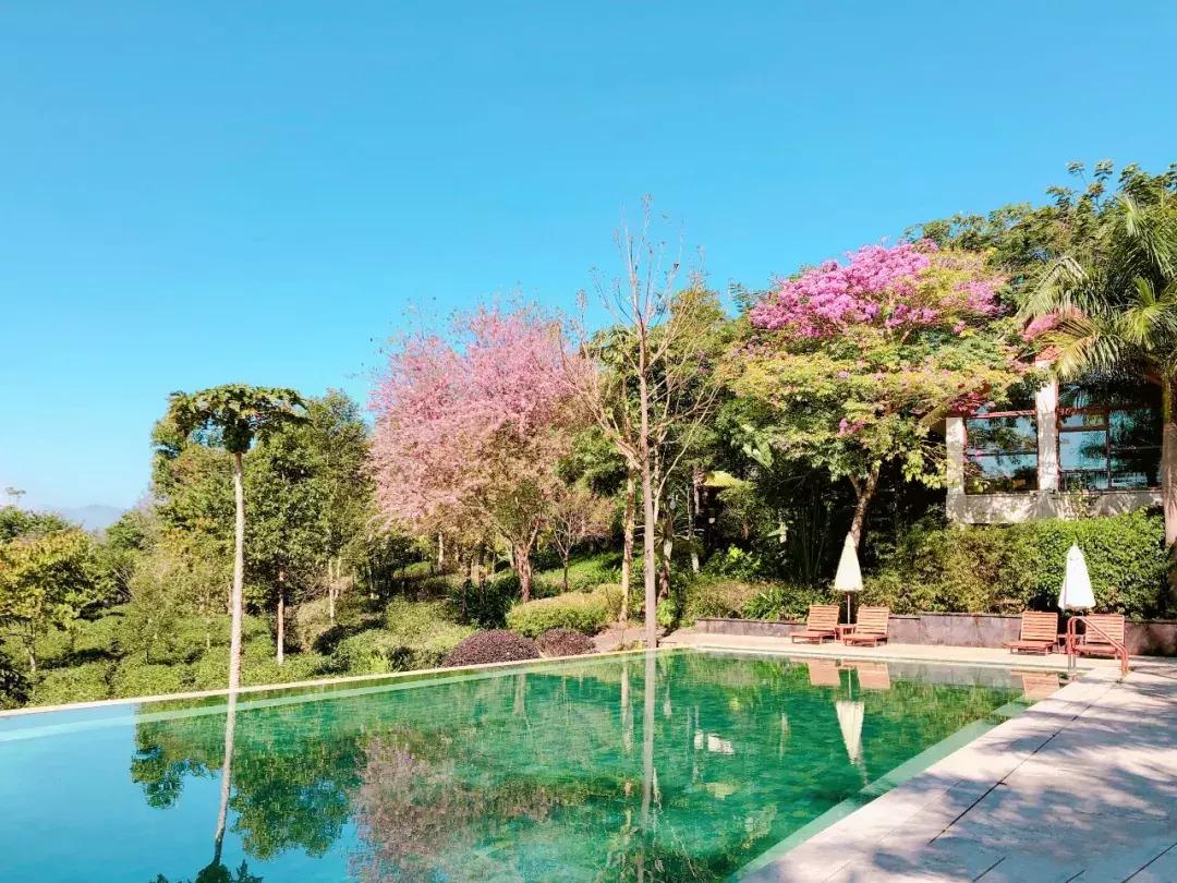 ifer来信|“男朋友”后宫无数，我却一点不吃醋