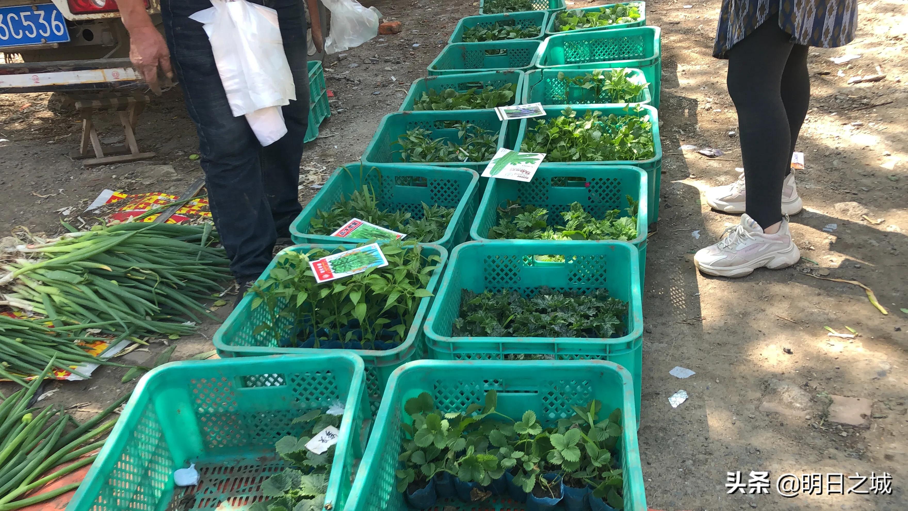 长春早市晚市大集大全2021,长春目前存在的早市