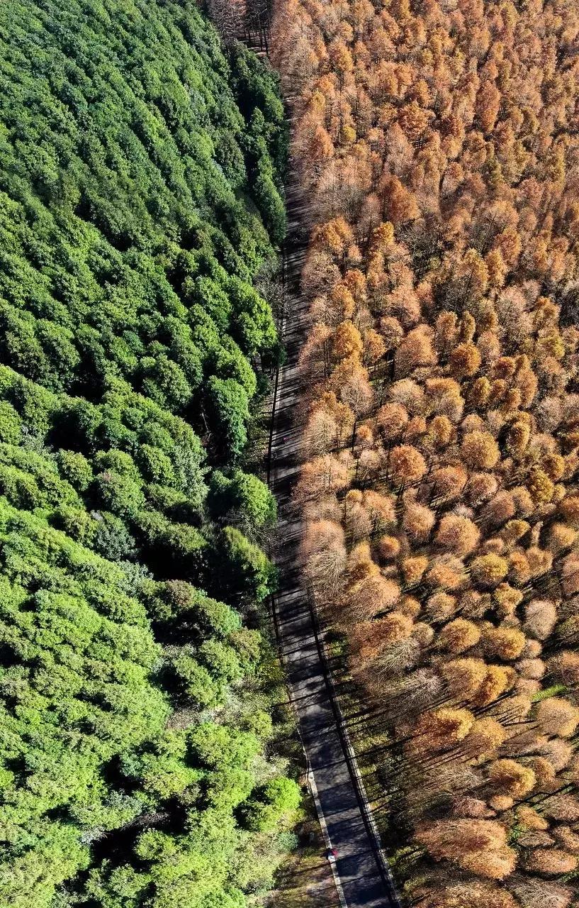 2019必去的旅行地,8月最新旅行地推荐