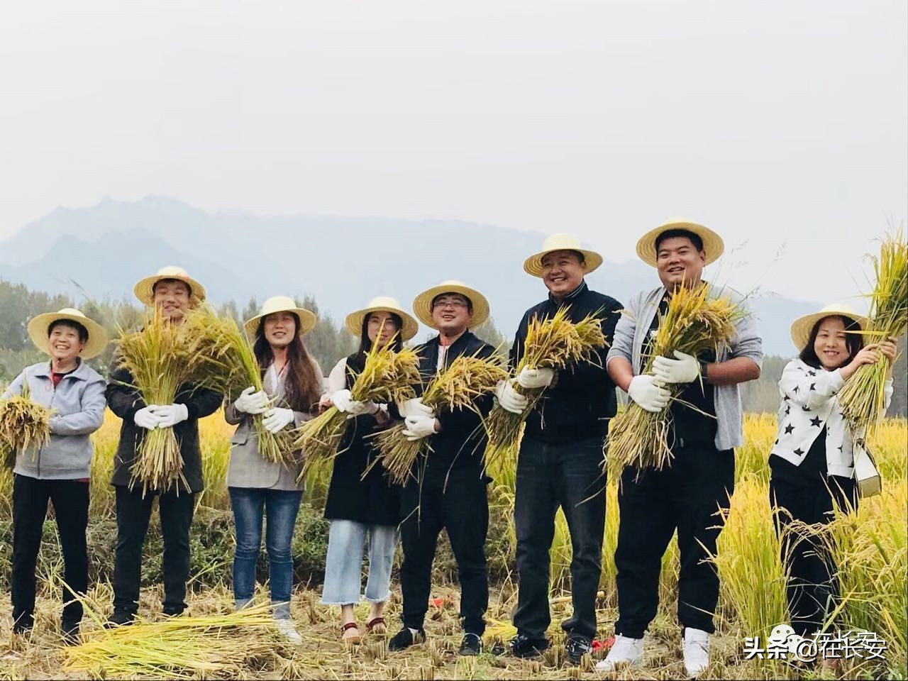 长安区王莽街道刘秀村,长安区王莽刘秀村地址