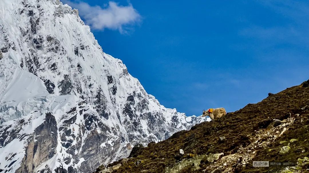 没时间废话了,快去希夏邦马