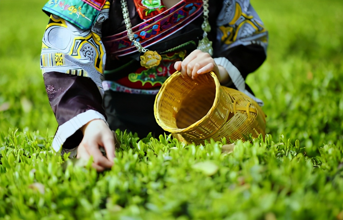多彩贵州旅游品牌,多彩贵州酒名片
