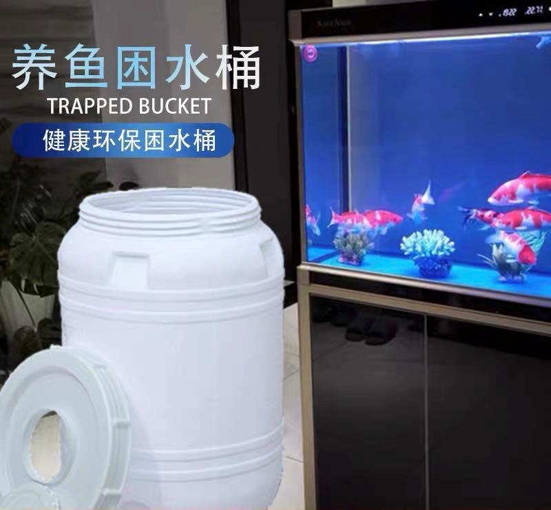 鱼缸换水底滤槽需要换水吗,鱼缸换水前喂食还是换水后