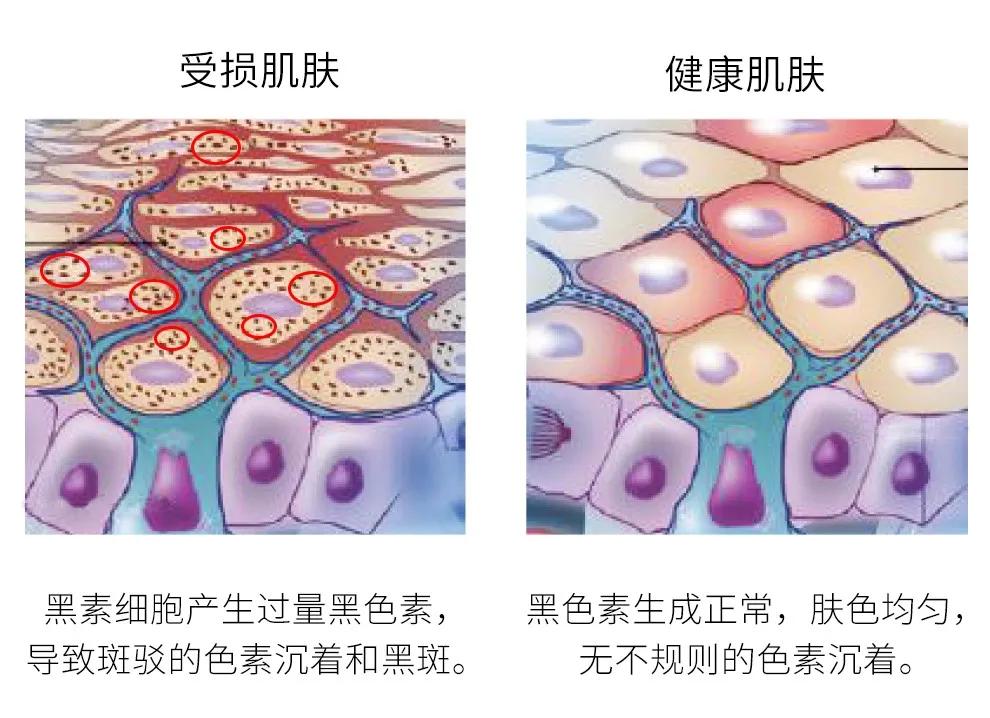 维生素c的护肤知识大全,宝藏护肤精华怎么用的视频