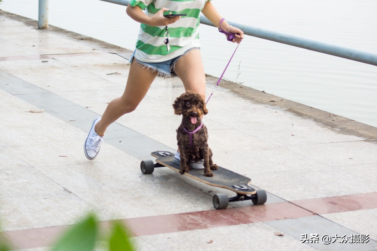 砀山英雄会,芒砀山英雄会