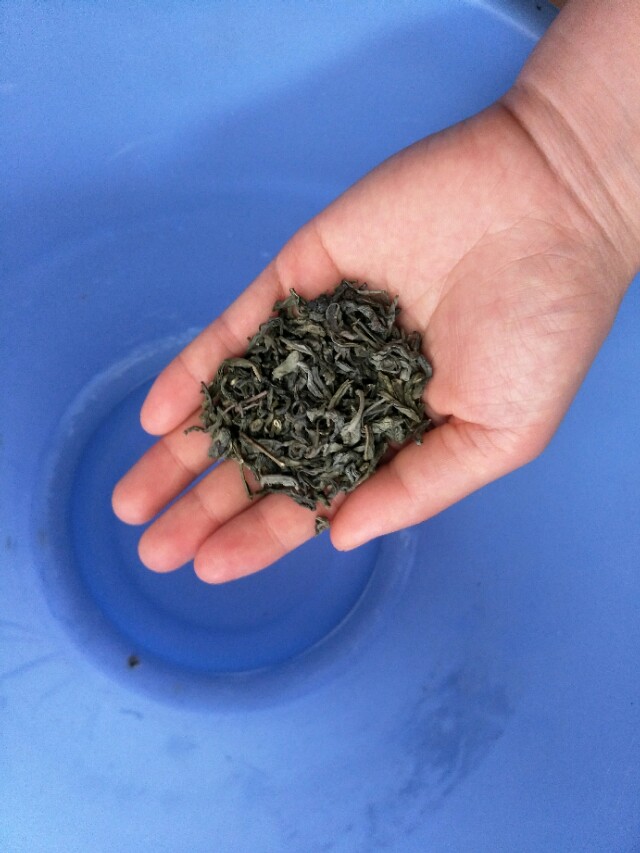 塑料制品有塑料味怎么去除,塑料异味如何挥发