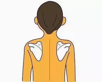 脊柱弯了怎么纠正视频,脊柱侧弯属于严重脊柱问题