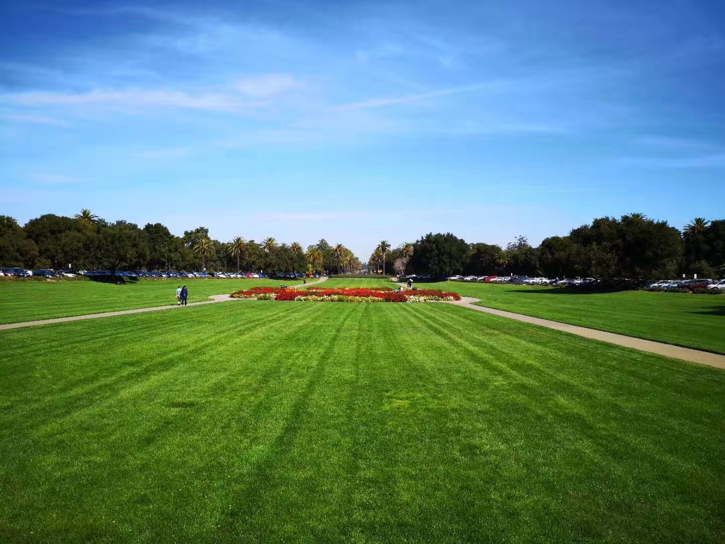 国外本科有精算专业的便宜大学,国外精算专业大学