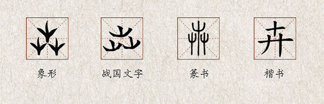 花卉的卉字是什么意思,你身边人的名字有什么含义