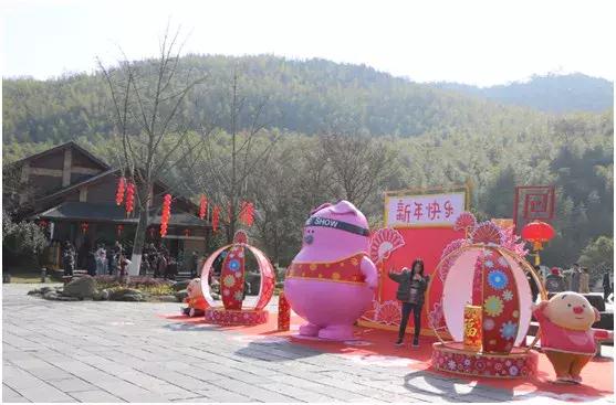 今天,我在宜兴竹海,过传统春节,沾福气满满!