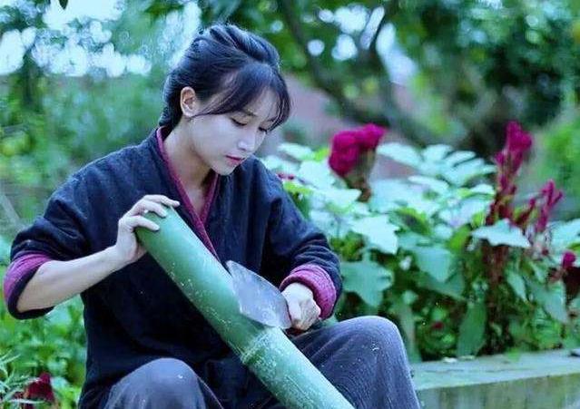 网红李子柒概念股,李子柒概念股最新消息