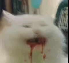 效果堪比整容的变美小知识,花几万整形不如换个发型