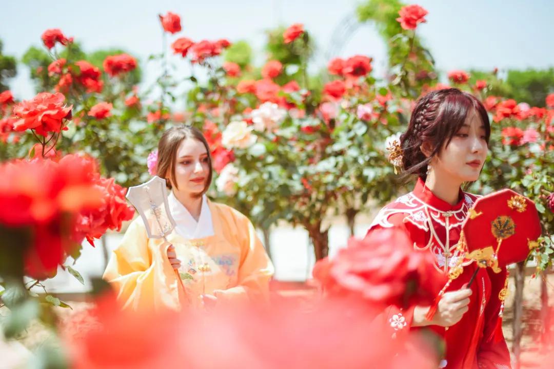 又刷屏了！高新这片花海，惊艳你的朋友圈！