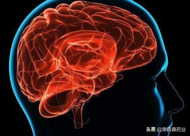 突发脑中风怎么急救,一旦患上中风会发生什么常见表现