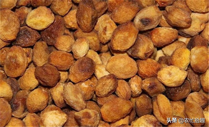 五元一斤大量滞销,年前5元一斤大量滞销