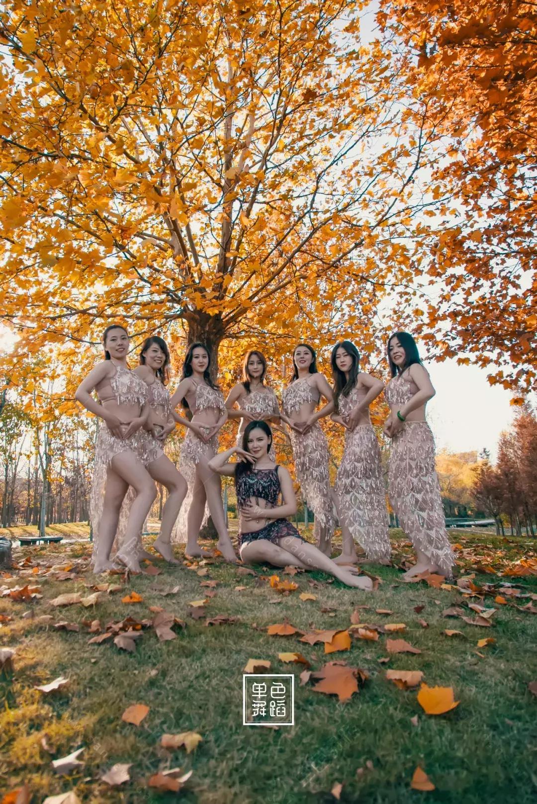 东方舞如何发力,东方舞的基本知识