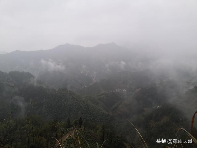 茶中翡翠，歙县滴水香——一颗蒙尘在北纬30°线上的黄山明珠