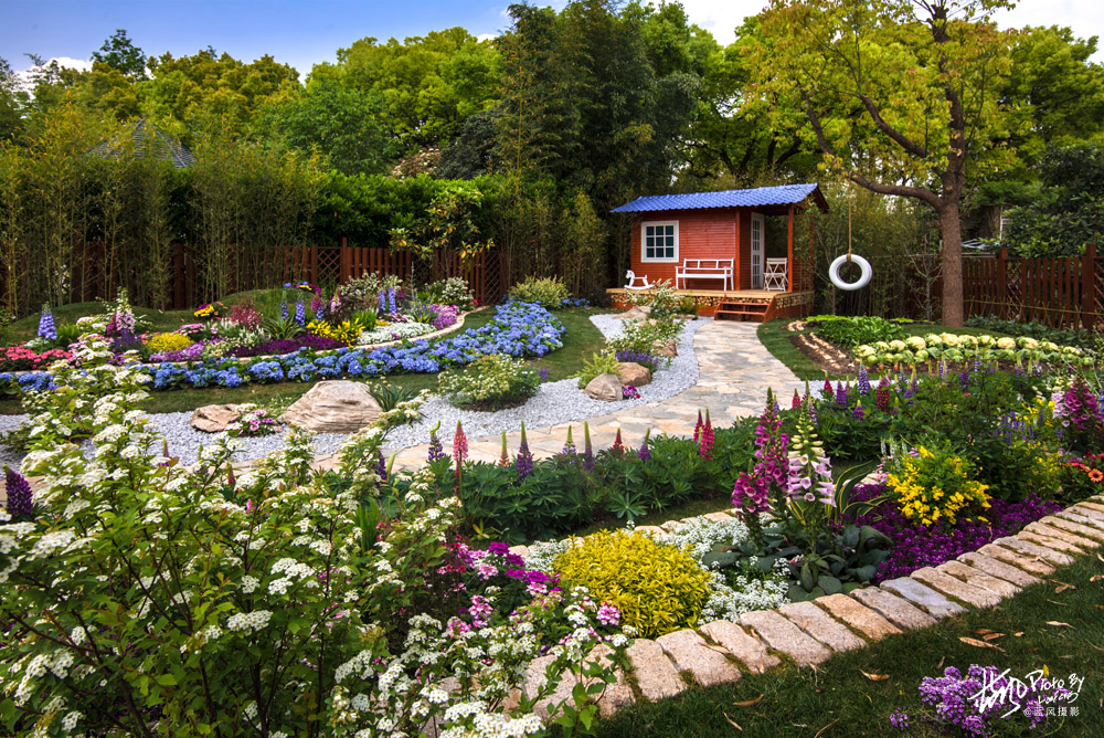 上海国际花展一览表,上海国际花展一览