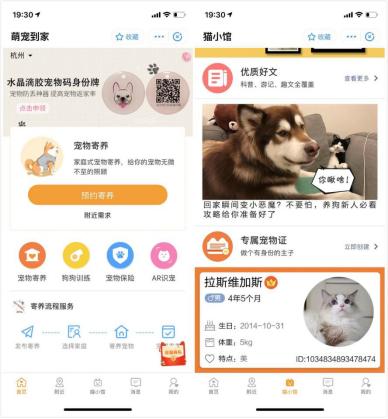 支付宝最近用过的小程序,支付宝好用的小程序有哪些