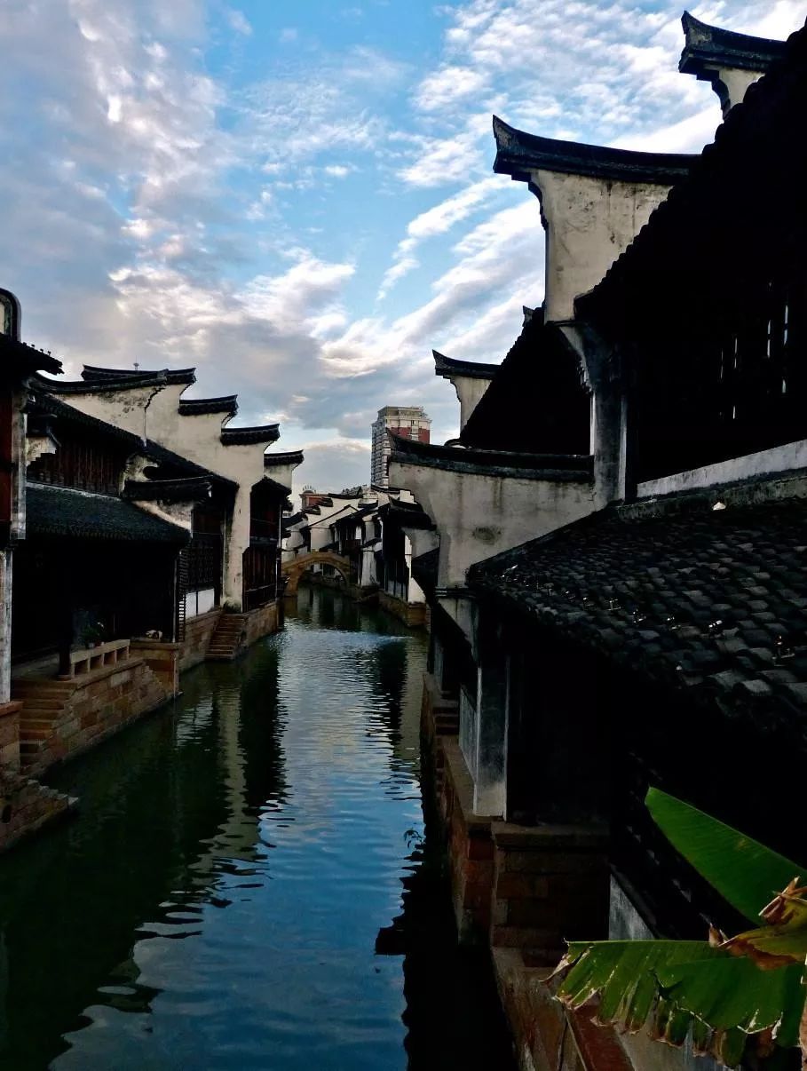 周末空不？走！咱们去嘉兴月河淘个宝