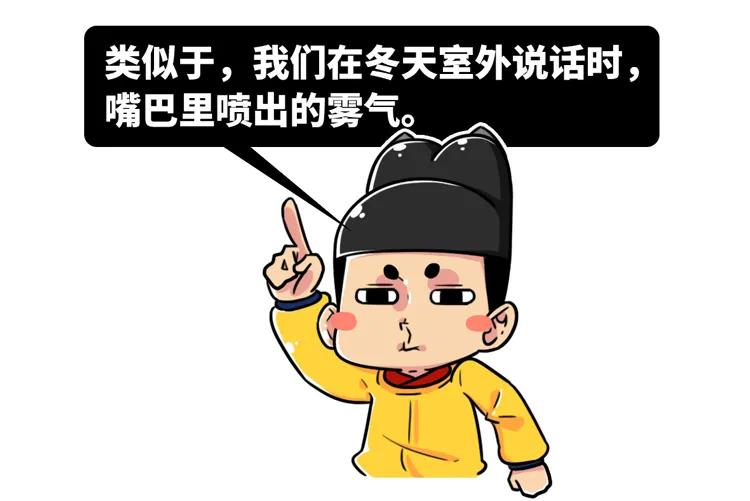 为什么要捕杀鲸鱼?日本人:不是为了吃,这是传统文化